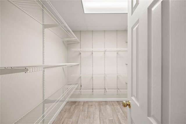 spacious closet featuring wood finished floors