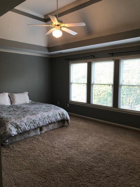bedroom with carpet, multiple windows, ceiling fan, and a raised ceiling