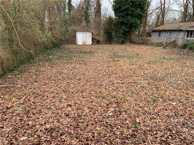 view of yard featuring a shed