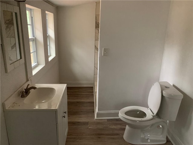 bathroom with wood-type flooring, vanity, and toilet