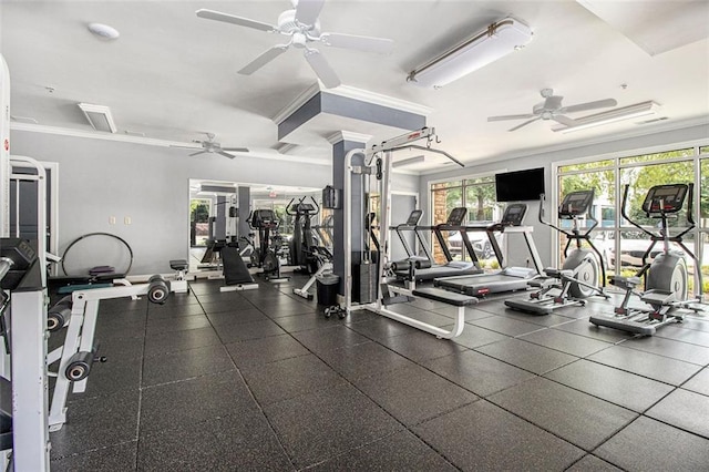 10 Perimeter Summit Blvd NE Unit 4223, Brookhaven, GA 30319 - exercise room with ceiling fan and crown molding