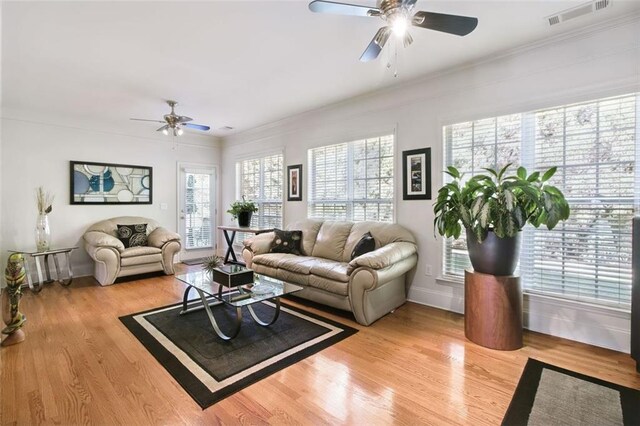 living room with a wealth of natural light, ceiling fan, and light hardwood / wood-style floors