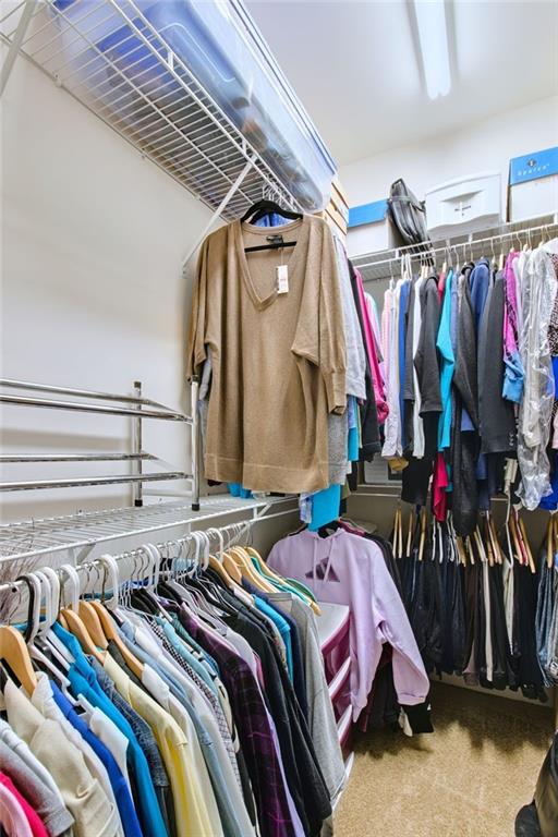 walk in closet with carpet flooring