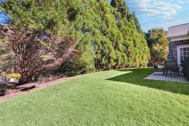 view of yard featuring a patio