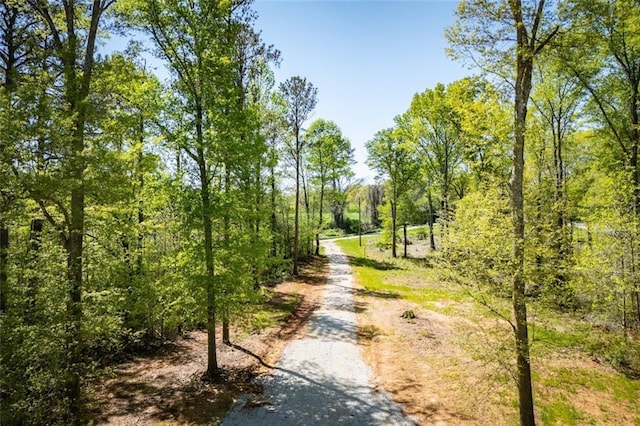90 Ayers Rd, Bowdon, GA 30108 - view of dirt / gravel road featuring a forest view