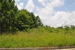 298 Randall Dr, Rockmart GA, 30153 land for sale