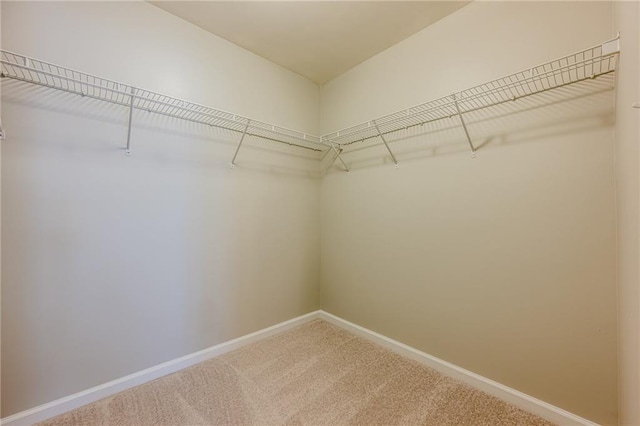 4404 Village Field Pl, Suwanee, GA 30024 - spacious closet with carpet floors