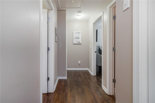 19 Autumn Pl NE, White, GA 30184 - hallway featuring dark wood-type flooring and baseboards