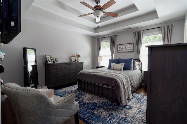 19 Autumn Pl NE, White, GA 30184 - bedroom with a raised ceiling, multiple windows, wood finished floors, and ceiling fan