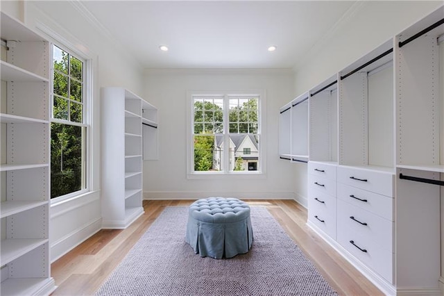 spacious closet featuring light hardwood / wood-style floors