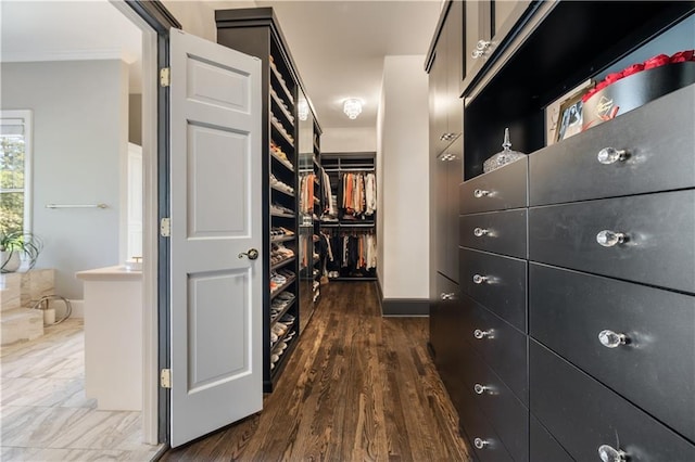 walk in closet with wood finished floors
