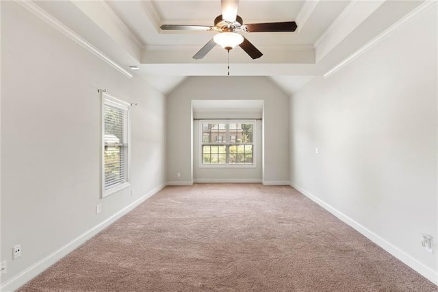 carpeted spare room featuring ceiling fan and a raised ceiling