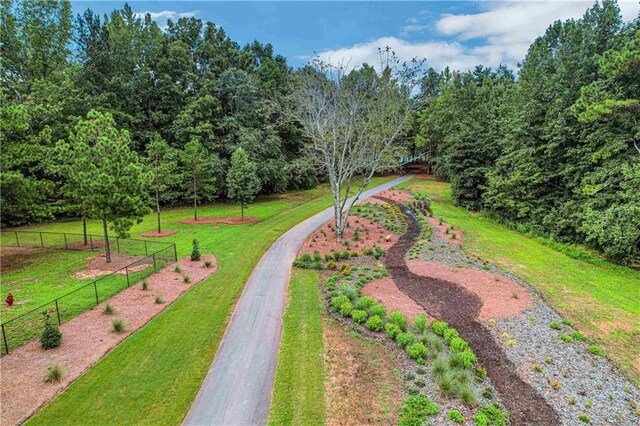 view of community featuring a yard