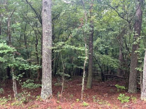 2708-B Narroway Church Cir, Dallas GA, 30132 land for sale