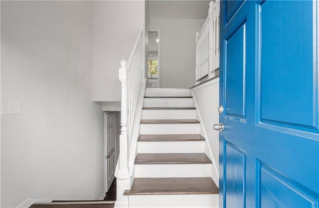 staircase featuring wood-type flooring