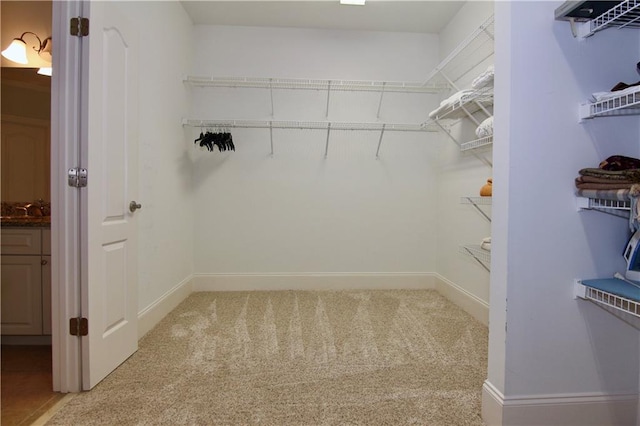 spacious closet featuring sink and carpet floors