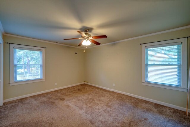 spare room featuring ornamental molding, a wealth of natural light, and light carpet