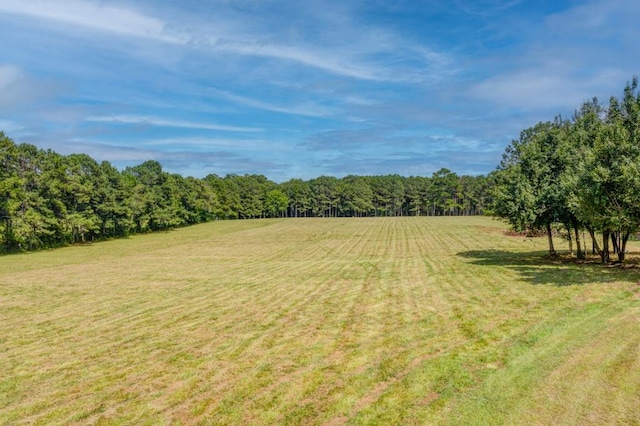 view of yard featuring a rural view