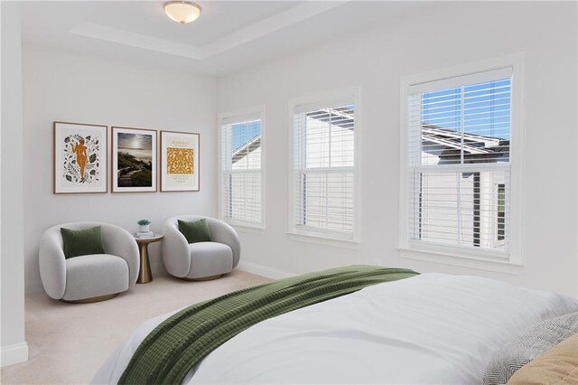 carpeted bedroom with baseboards and a raised ceiling