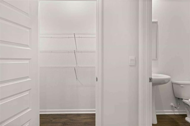 1410 Aura Ln, Lawrenceville, GA 30045 - view of closet