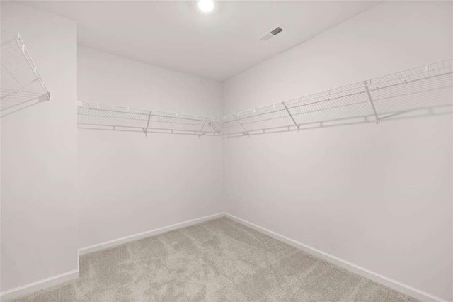 1410 Aura Ln, Lawrenceville, GA 30045 - walk in closet featuring carpet