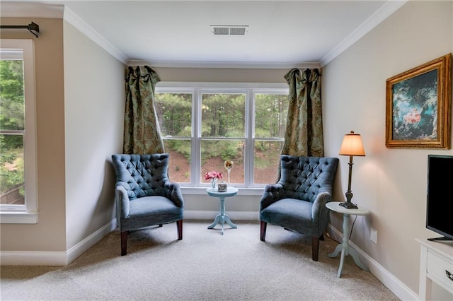 36 Evergreen Way, Dallas, GA 30157 - living area with carpet flooring and ornamental molding