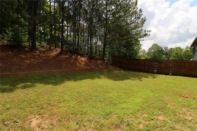 36 Evergreen Way, Dallas, GA 30157 - view of yard