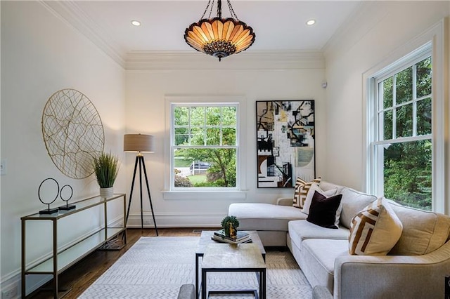 living room featuring ornamental molding, dark wood-type flooring, and a healthy amount of sunlight