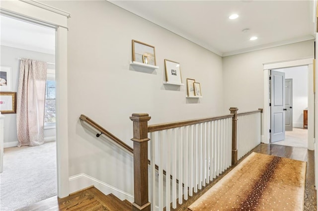 hall featuring crown molding and hardwood / wood-style flooring