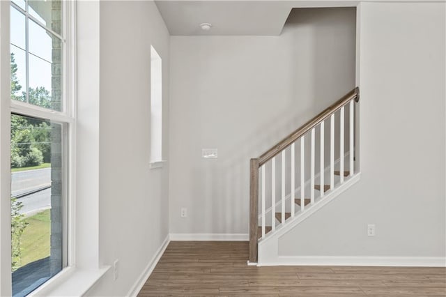 foyer entrance featuring hardwood / wood-style floors