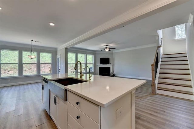 6867 Kate Ln, Flowery Branch, GA 30542 - kitchen featuring crown molding, light wood-style floors, open floor plan, white cabinets, and a kitchen island with sink