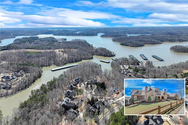 drone / aerial view featuring a water view and a view of trees