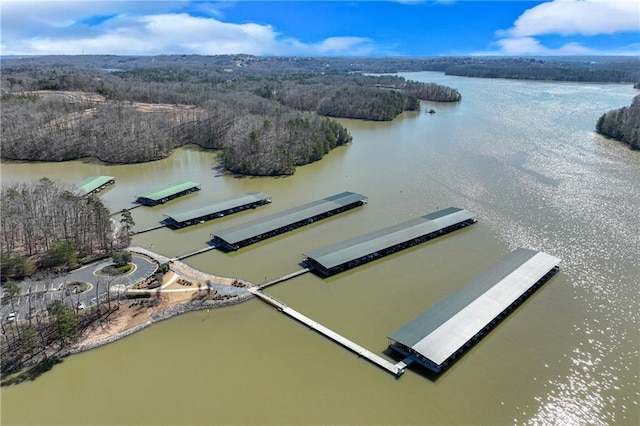 bird's eye view with a water view and a forest view