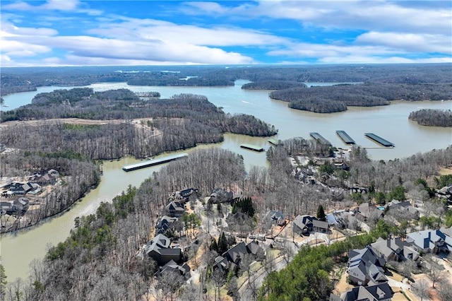 birds eye view of property featuring a water view and a view of trees