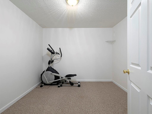 5 Glenn Eagles Vw, Hiram, GA 30141 - exercise area featuring carpet floors and a textured ceiling