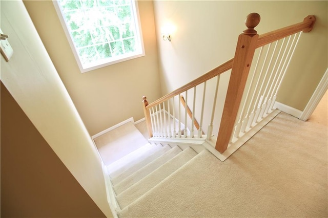 318 Ivy Manor Dr NW, Marietta, GA 30064 - stairs featuring carpet floors and baseboards