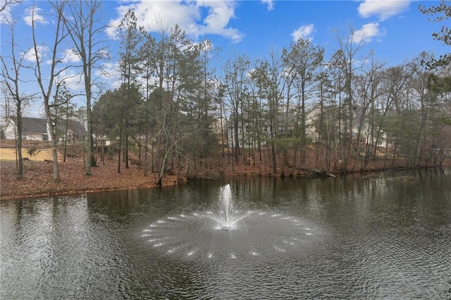 view of water feature