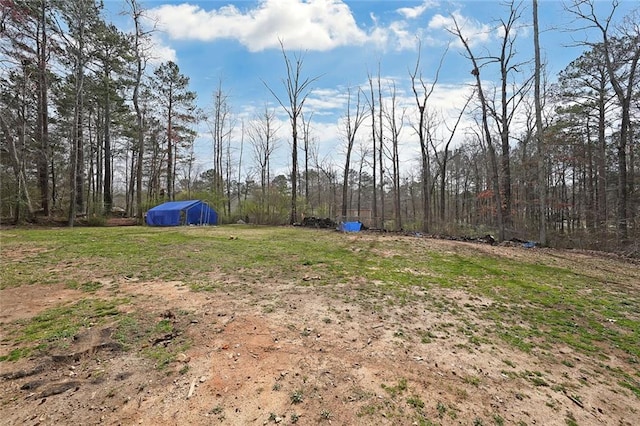 view of yard with an outbuilding