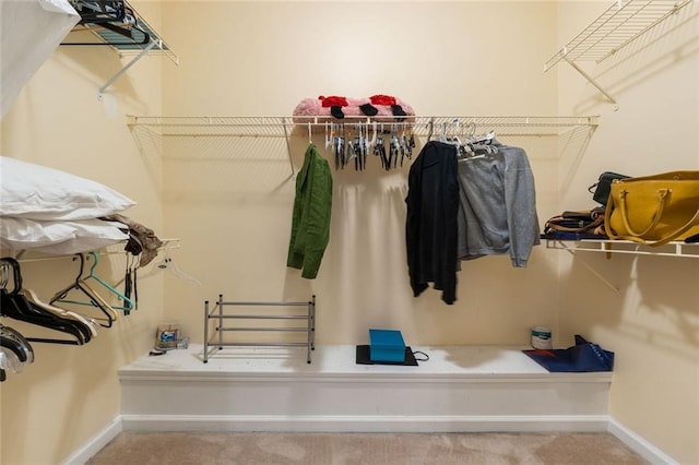 spacious closet with carpet flooring