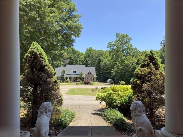 view of yard