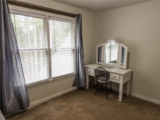 111 Bexley Ln, Douglasville, GA 30134 - carpeted home office featuring baseboards