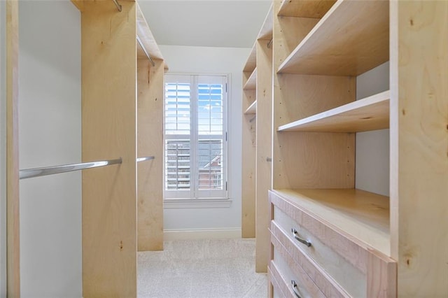 walk in closet with carpet floors