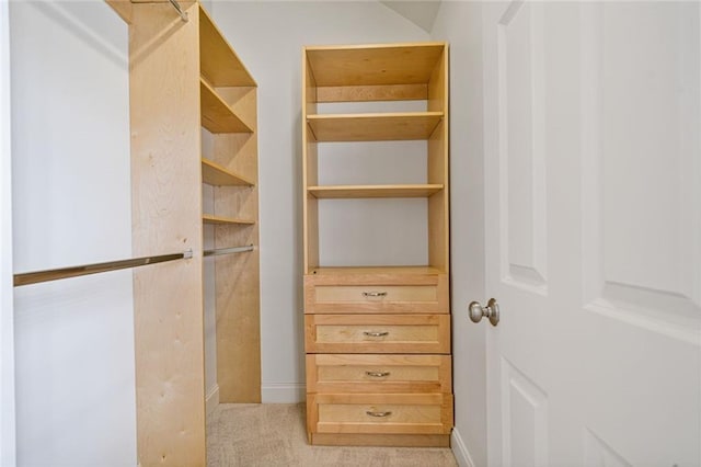 walk in closet with light carpet