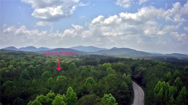 0 Hubbard Rd, Dawsonville, GA 30143