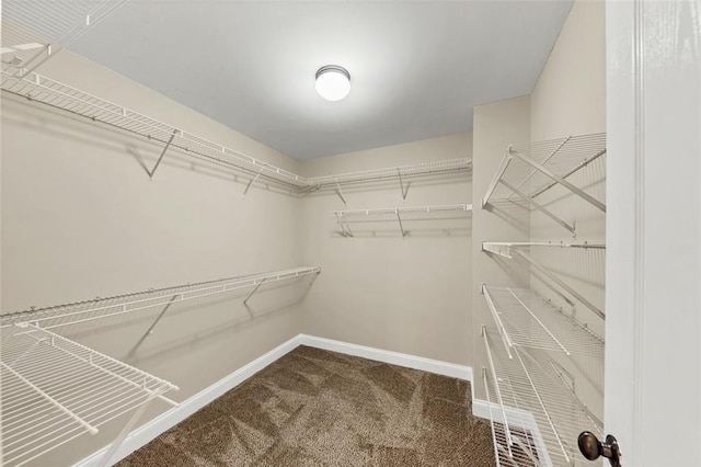 spacious closet featuring carpet floors