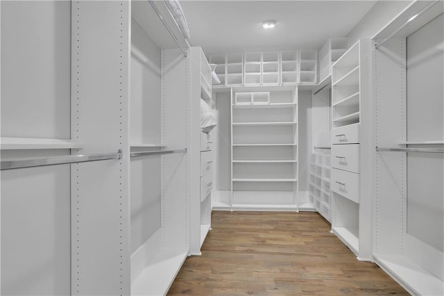 walk in closet featuring light hardwood / wood-style floors