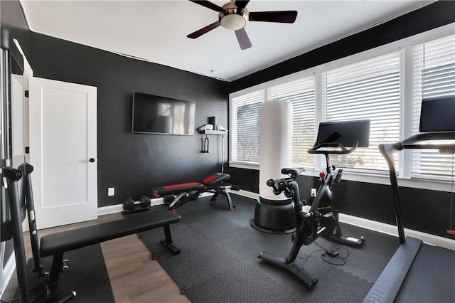 exercise room featuring ceiling fan and hardwood / wood-style floors