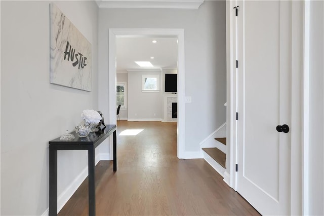 hall with ornamental molding and wood-type flooring