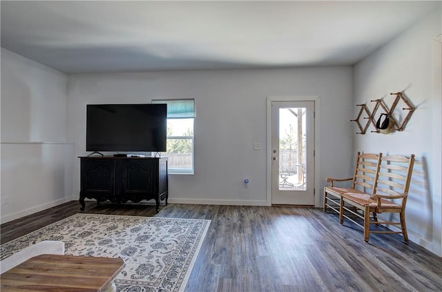 foyer entrance featuring dark wood-type flooring