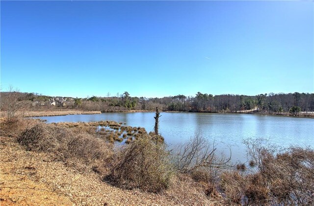 view of surrounding community